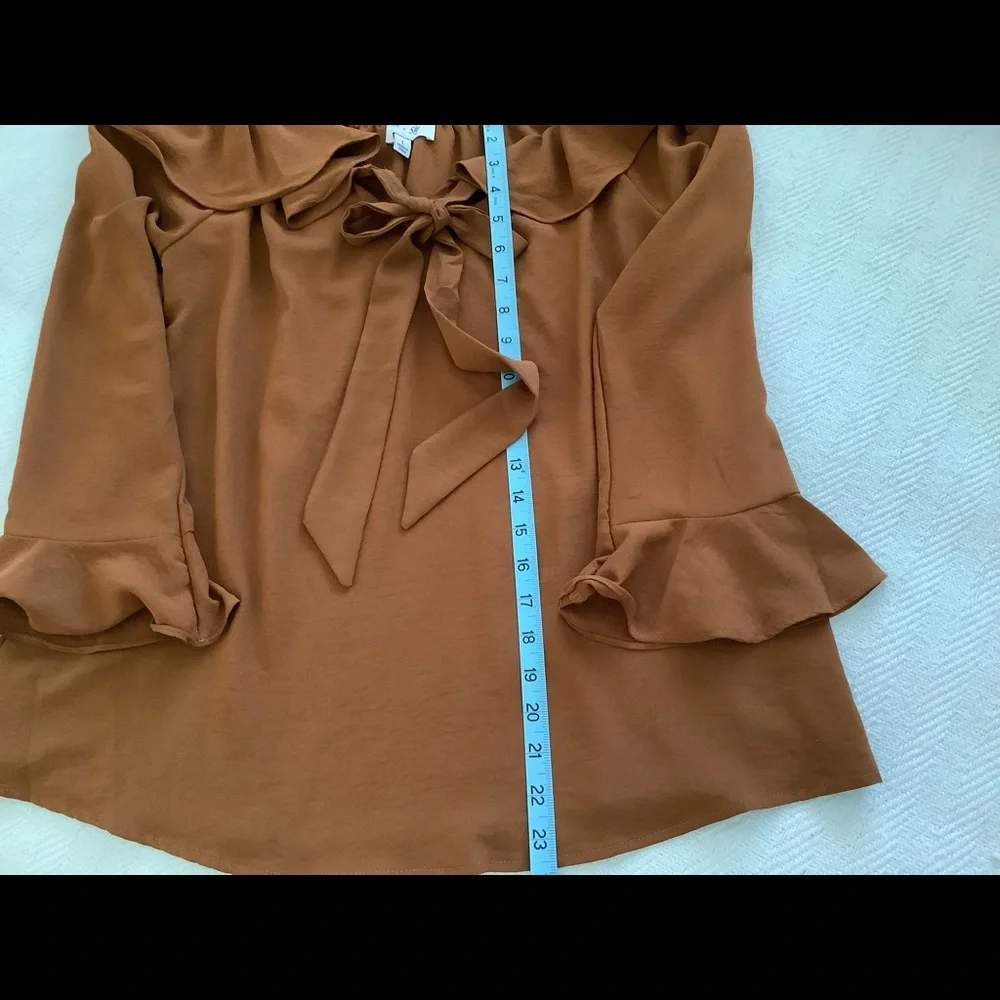 She & Sky rust colored blouse size L - Picture 6 of 10